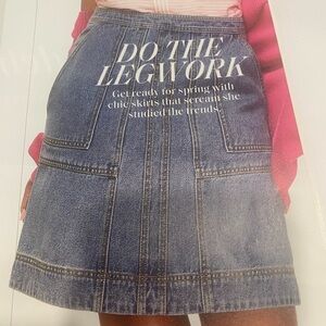 NEW Spring 24 Cabi Speedway Skirt no animals or smoke